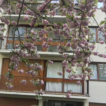Gardens, Pool And More! La Celle-Saint-Cloud