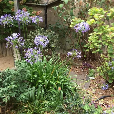Gardens, Pool And More! *