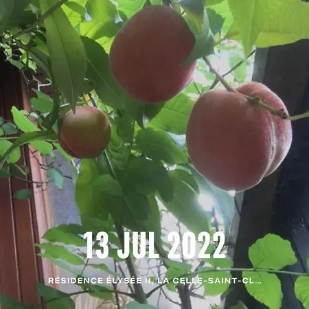 Gardens, Pool And More!